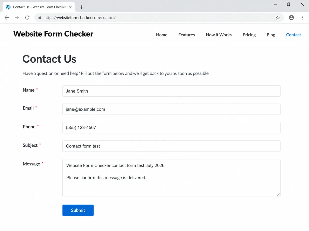 Live WordPress contact form filled out with a unique test message